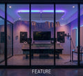 Feature